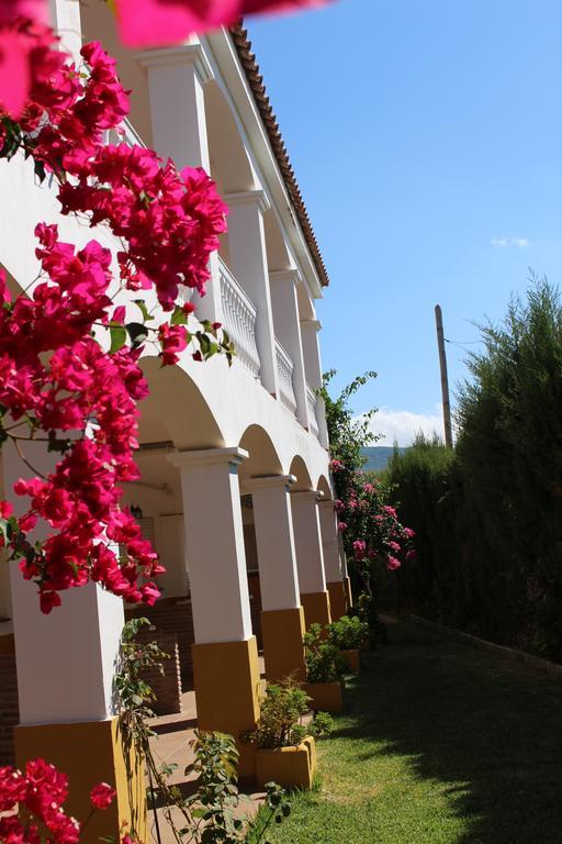 Apartamentos Bolonia Paraiso Екстериор снимка