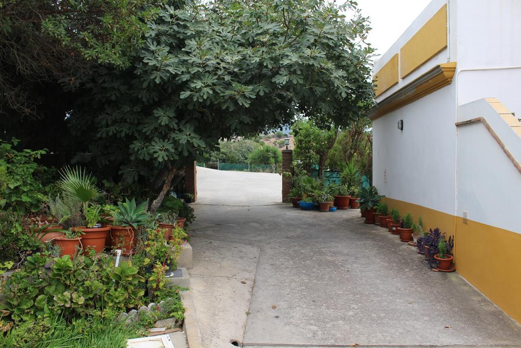 Apartamentos Bolonia Paraiso Екстериор снимка